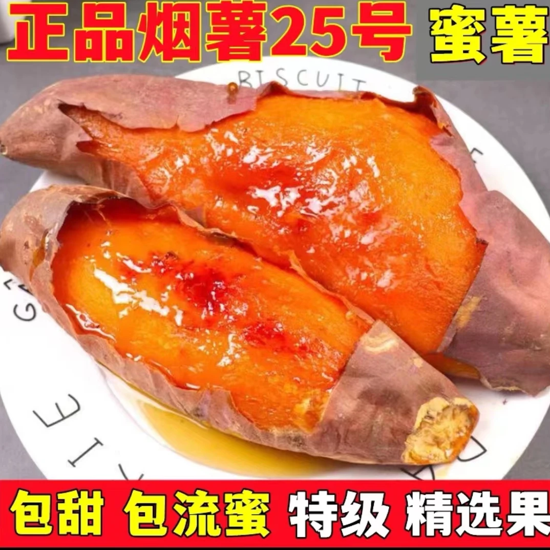 【已经糖化39天】烤薯店专用正宗山东沙地烟薯25