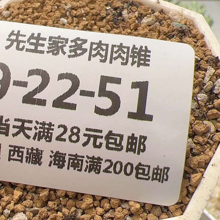 美丽的肉肉肉肉肉肉肉