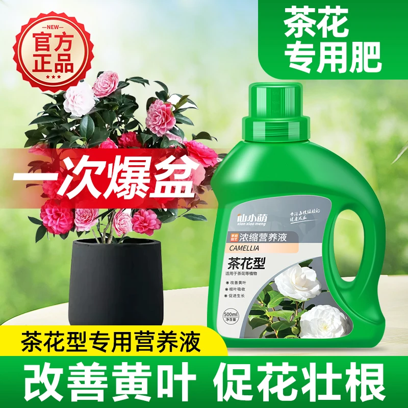 茶花营养液肥料专用肥家用开花盆栽通用复合肥花肥料花肥山茶花
