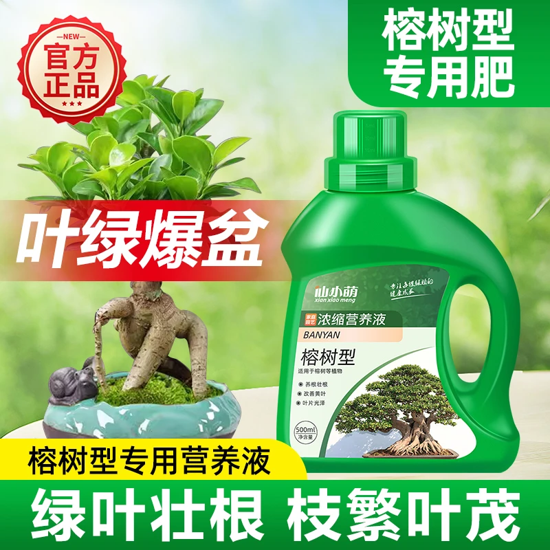 榕树肥料营养液榕树专用肥盆景有机复合肥通用花卉绿植缓释肥水溶