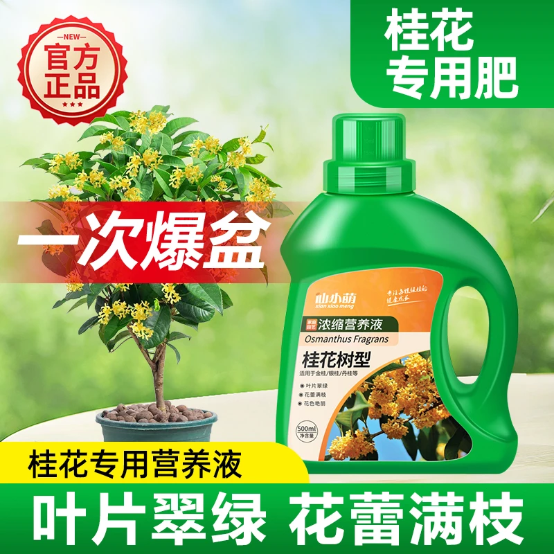 桂花树肥料专用肥营养液盆栽植物金桂银桂四季桂树苗有机花肥通用