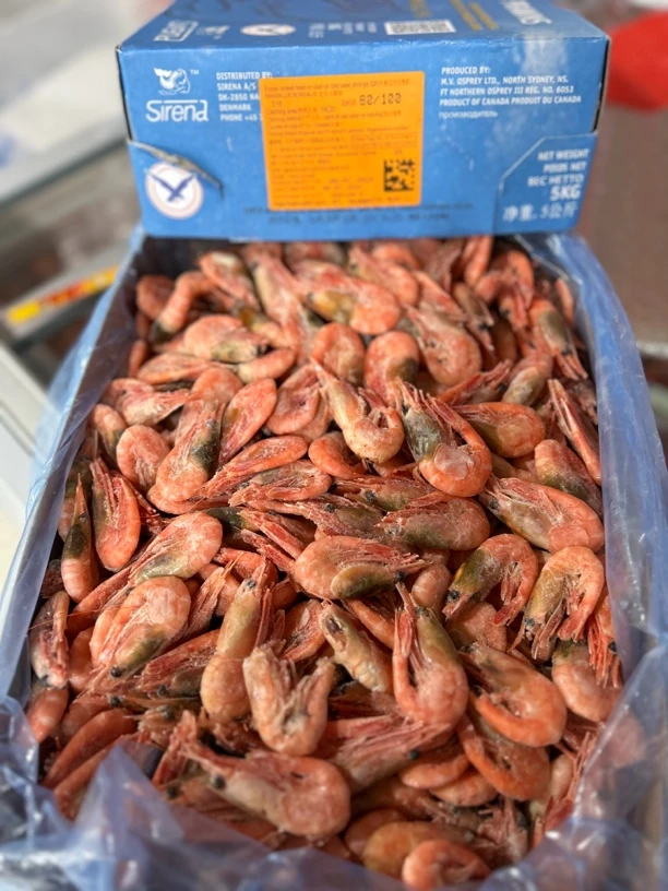 海藻头北极甜虾元宝虾