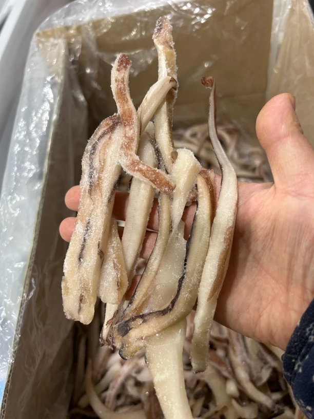 冷冻鱿鱼条3斤顺丰快递