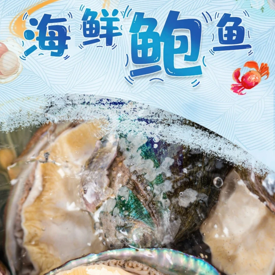 名贵高端食材 中国西沙群岛直供 高端海鲜鲍鱼 18头 T