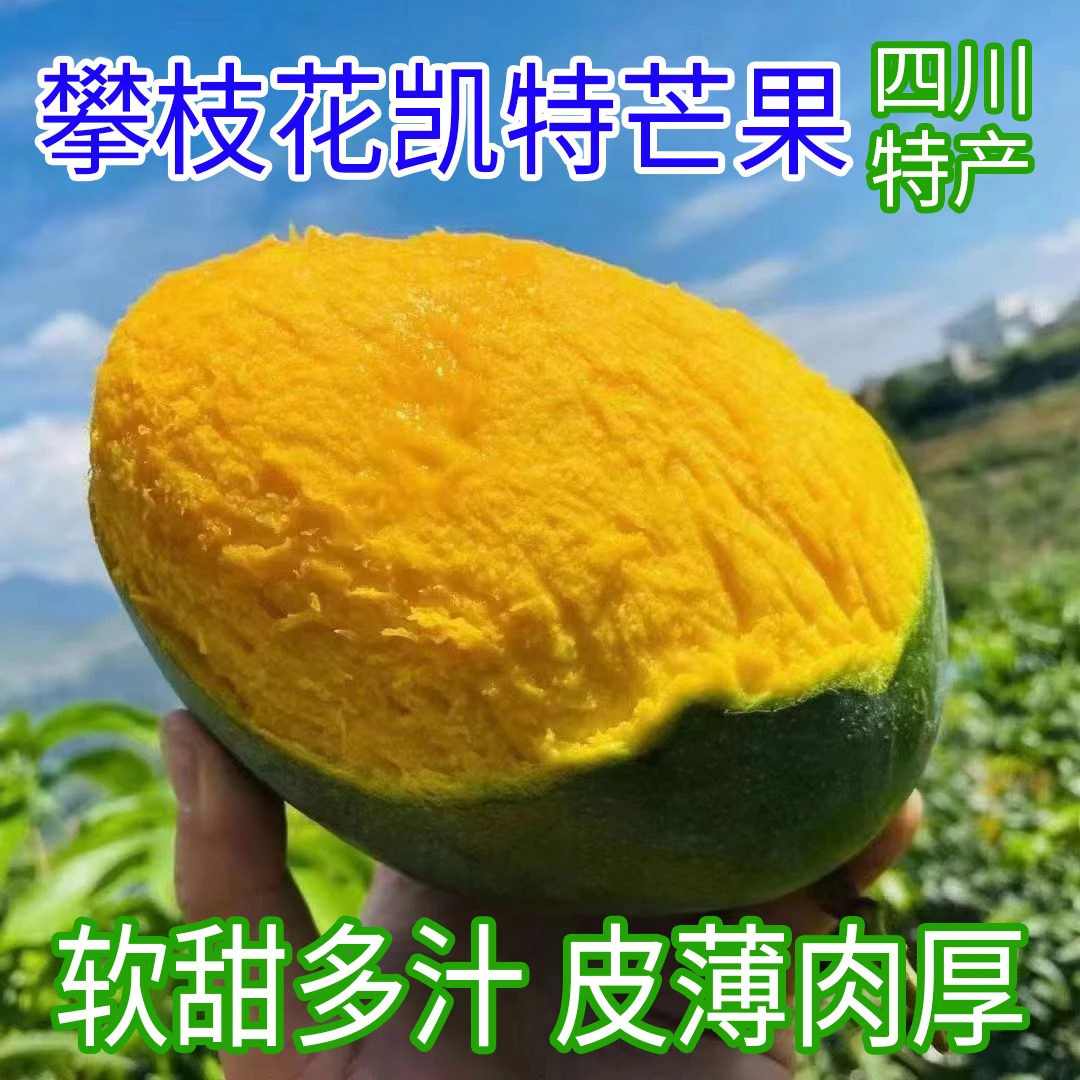 攀枝花凯特芒果新鲜多汁皮薄甜黄皮芒大青芒单果200克起带箱5斤