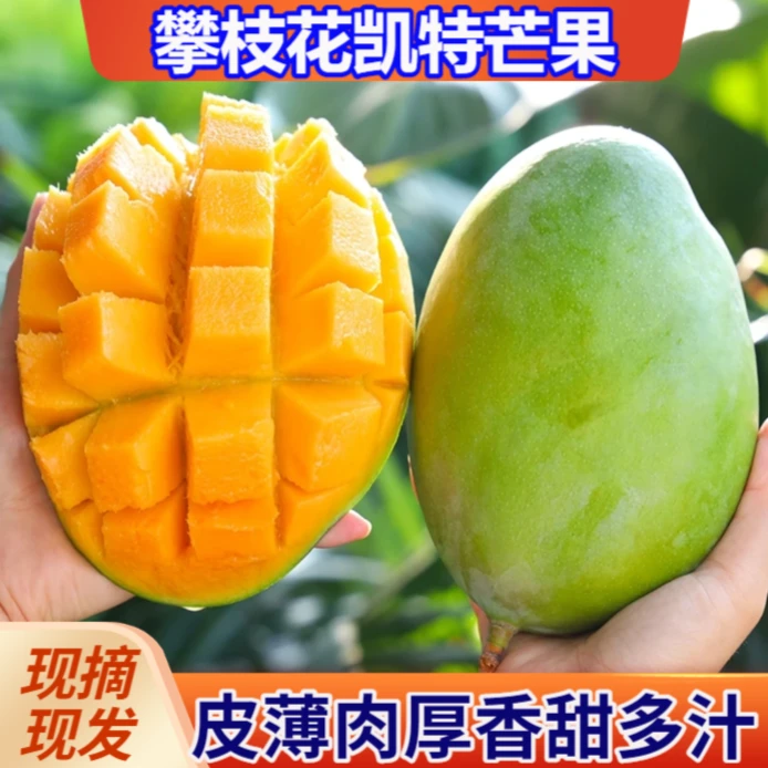 攀枝花凯特芒果大青芒皮薄肉厚营养单果400克起净重4.5-5斤