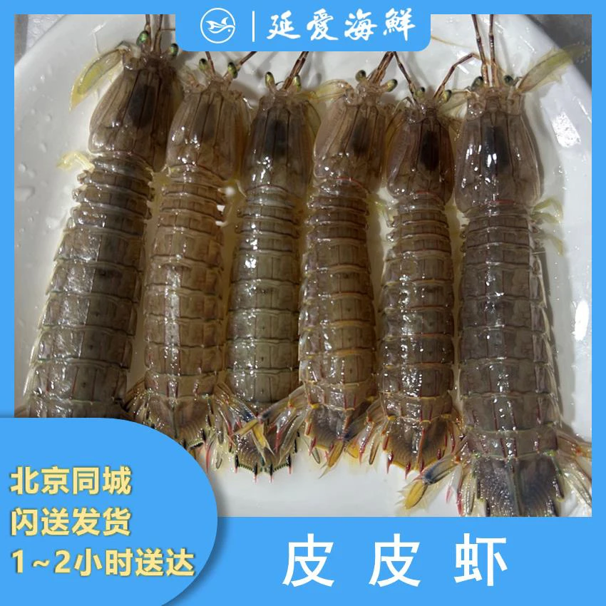 鲜活皮皮虾