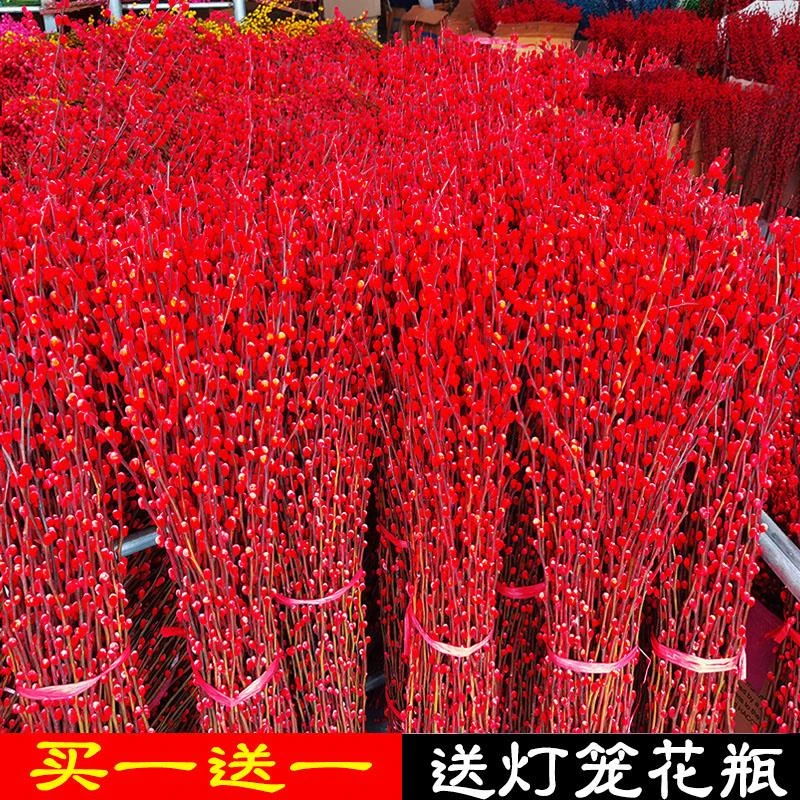 银柳干花花束客厅摆设装饰摆件真花鲜枝室内花瓶水养插瓶年宵花卉