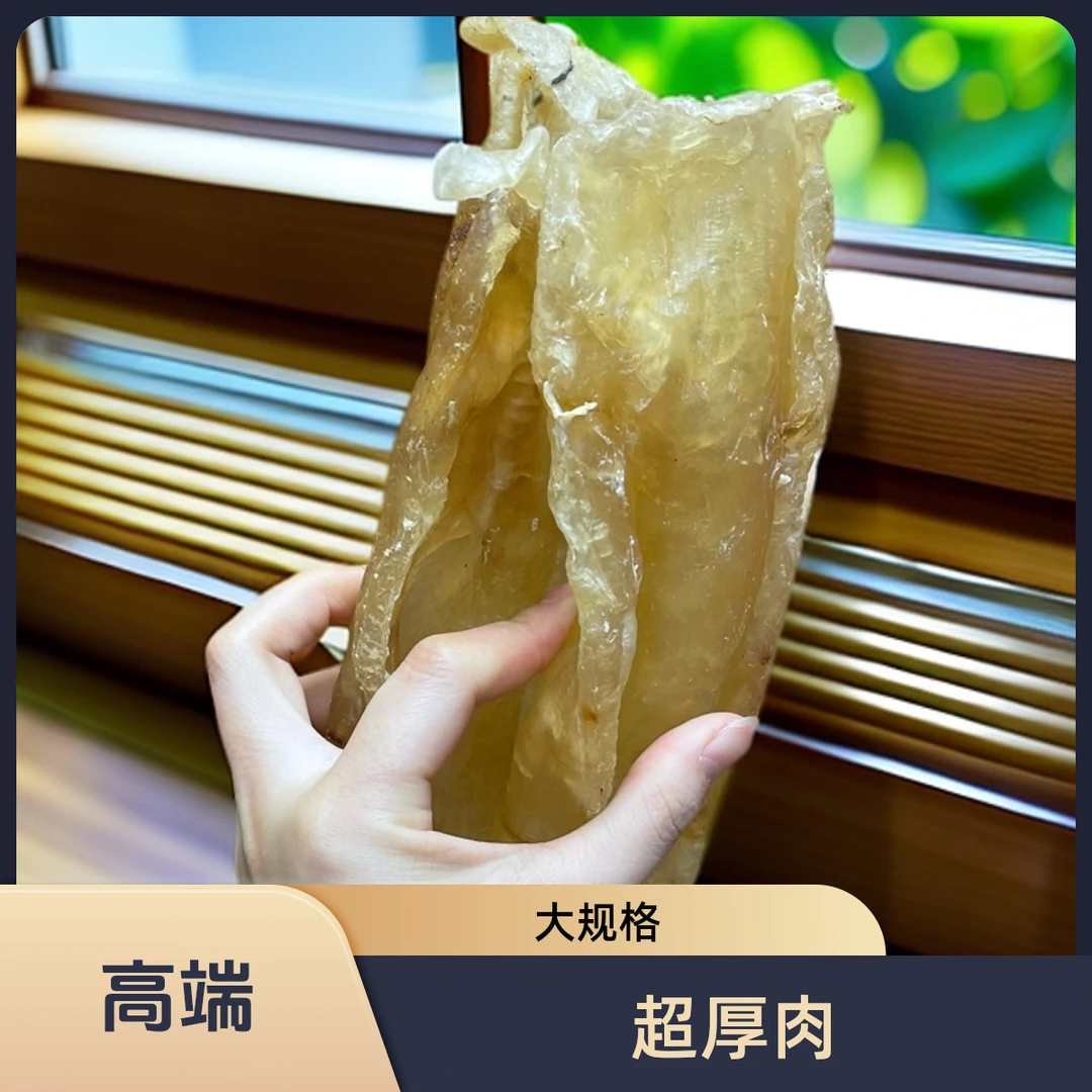 北海口感脆爽低腥 大北海母胶质好 孕妇可用泡发率高