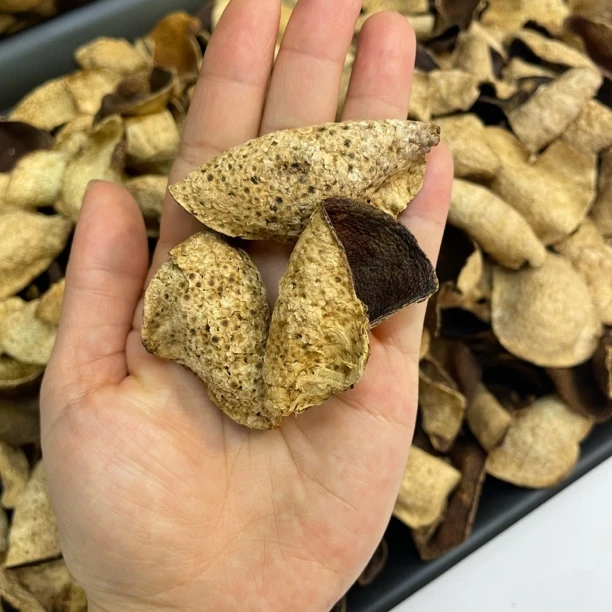 【断皮】10年新会陈皮代用茶红皮茶枝柑老陈皮核心产区