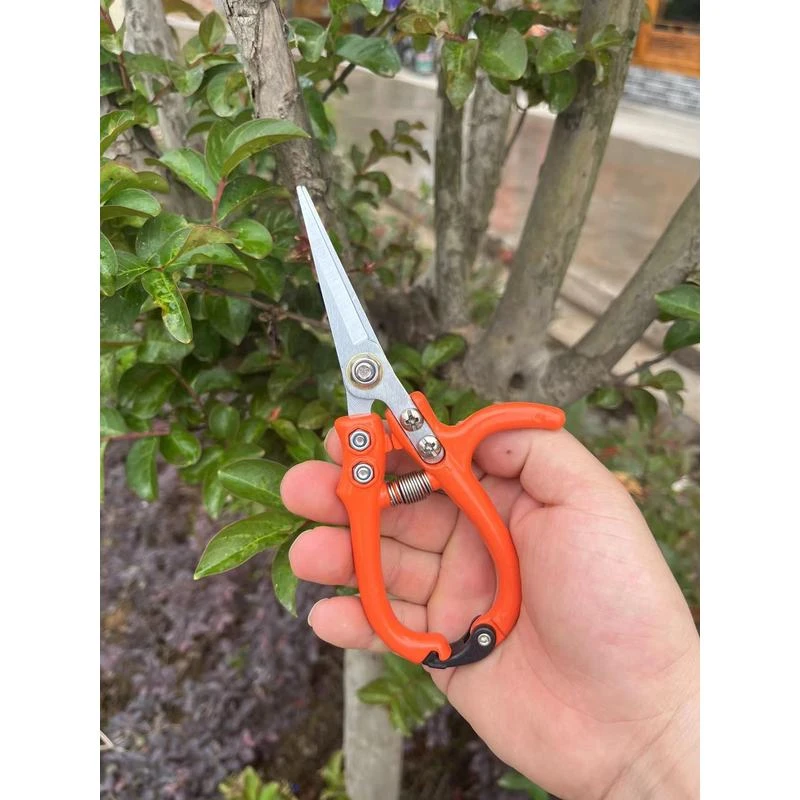 树枝修枝剪刀园林园艺修枝剪清仓家用省力修花修建树枝花卉剪刀