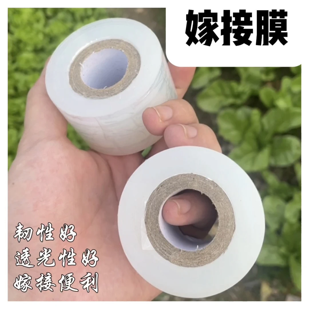 嫁接膜PE无需打结薄膜自粘式园林果树胶带包扎带缠绕透明密封