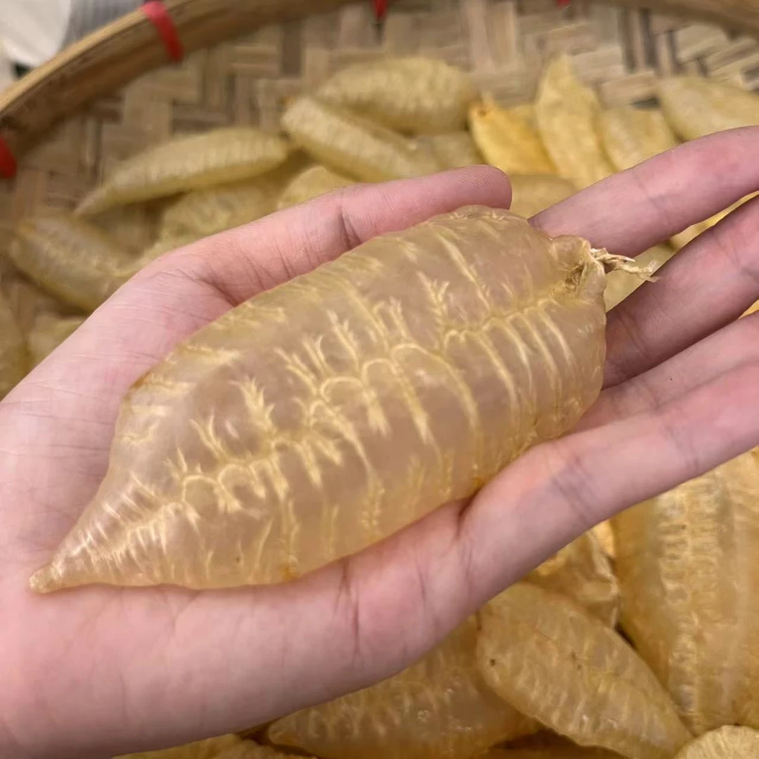 特优质叶子胶 树叶鱼胶白花胶