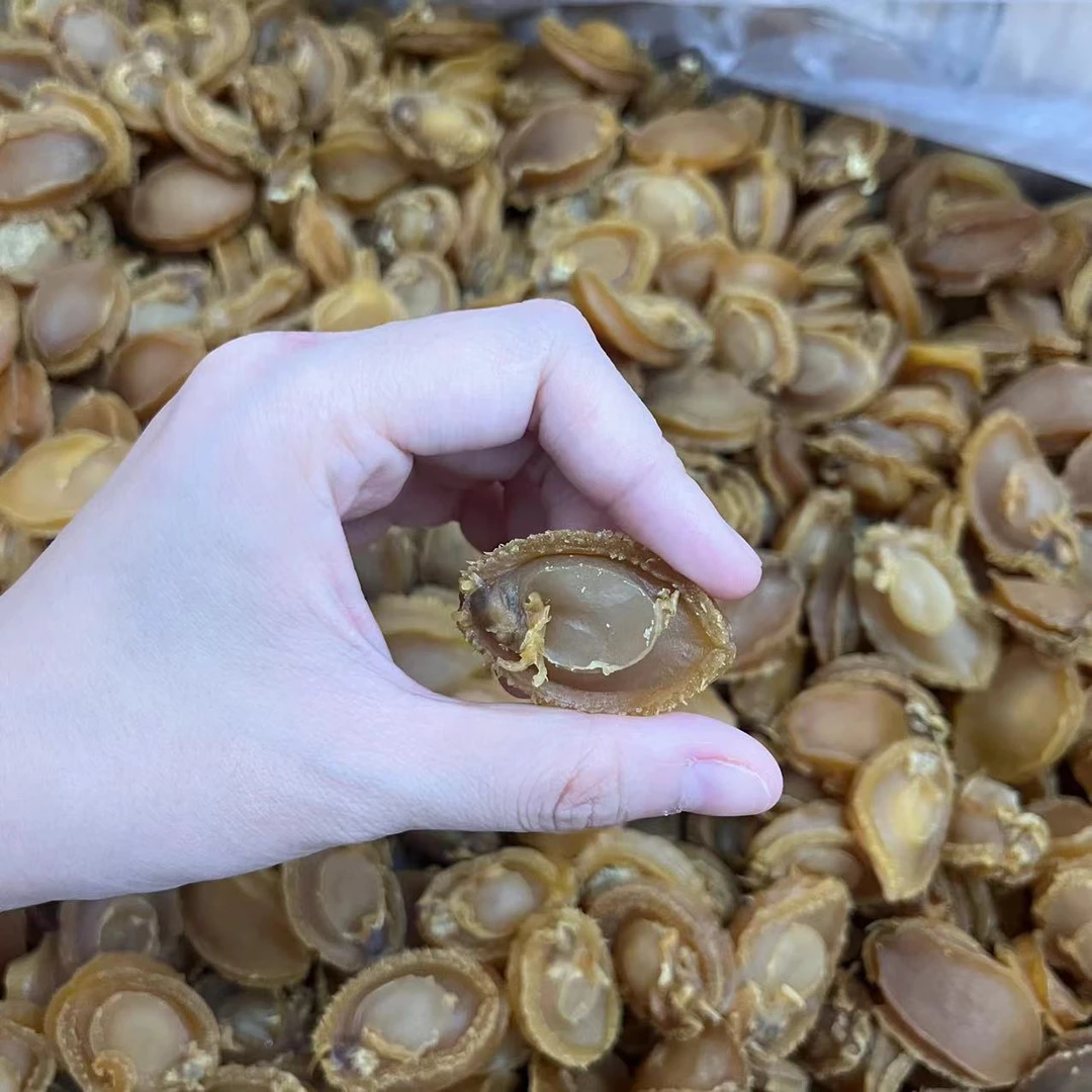 100头鲍鱼干  糖心鲍鱼干 煲粥煮汤鲜甜