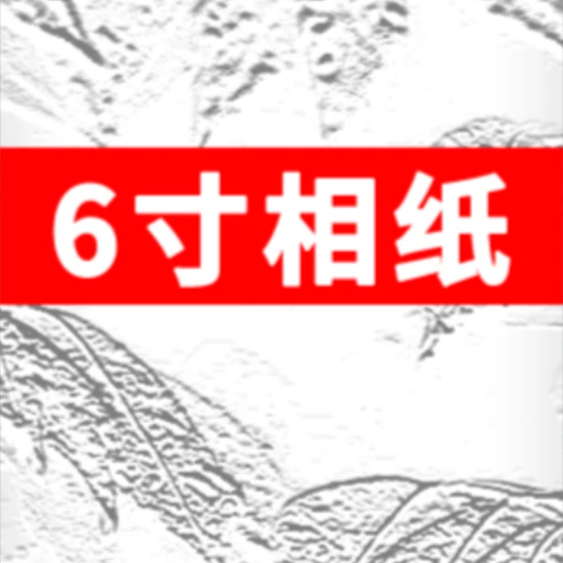 惠普6寸相纸20张