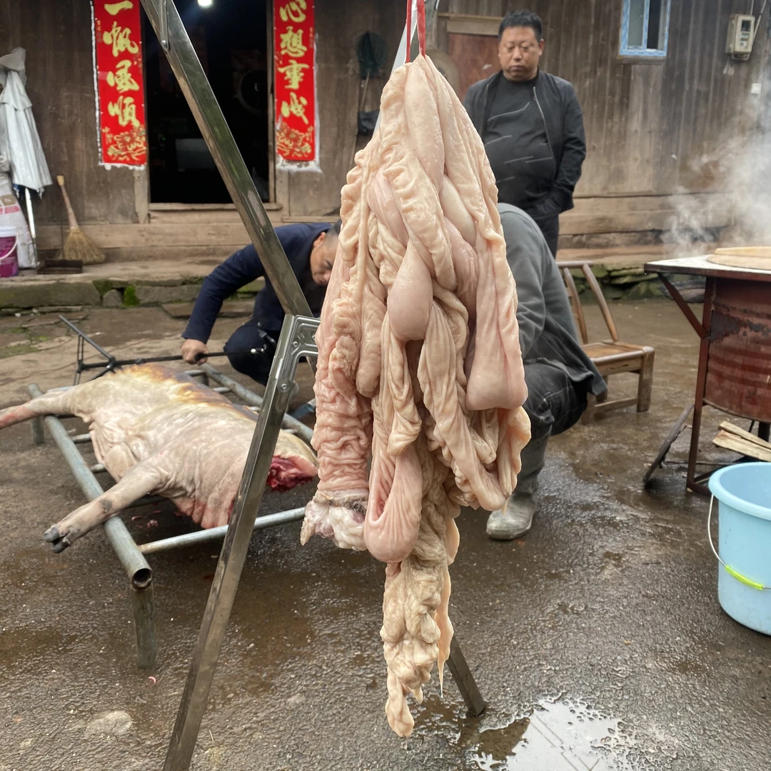 【猪大肠】湘西正宗跑山黑猪猪大肠