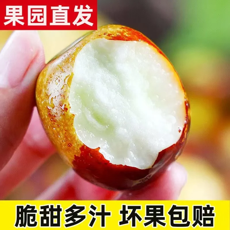【精品中果冬枣】山东沾化冬枣带箱5斤装新鲜好吃脆甜爽口