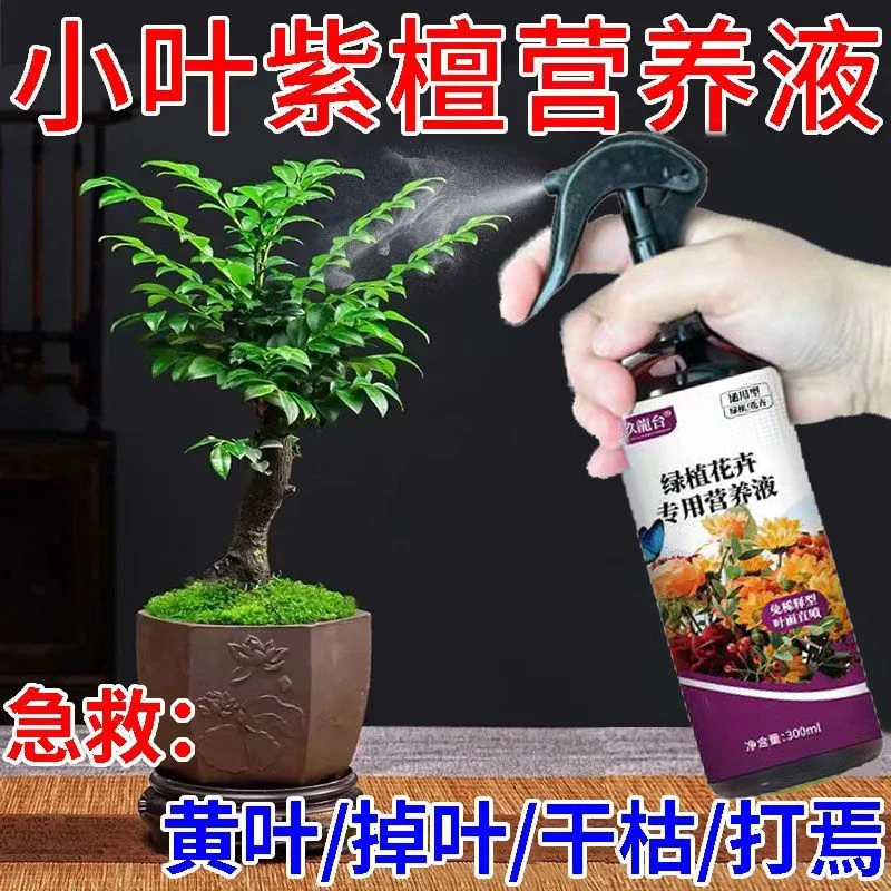 小叶紫檀叶子掉落枯萎黄叶专用盆景营养液催新芽室内外盆景有机肥