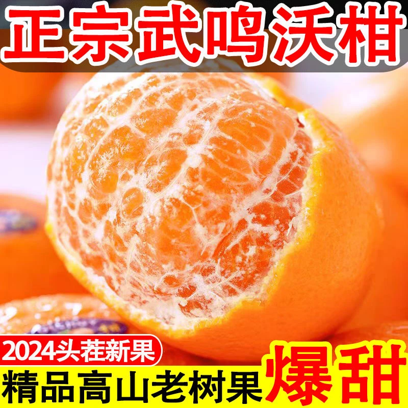 正宗广西武鸣沃柑应季现摘新鲜水果基地直发皮薄柑橘