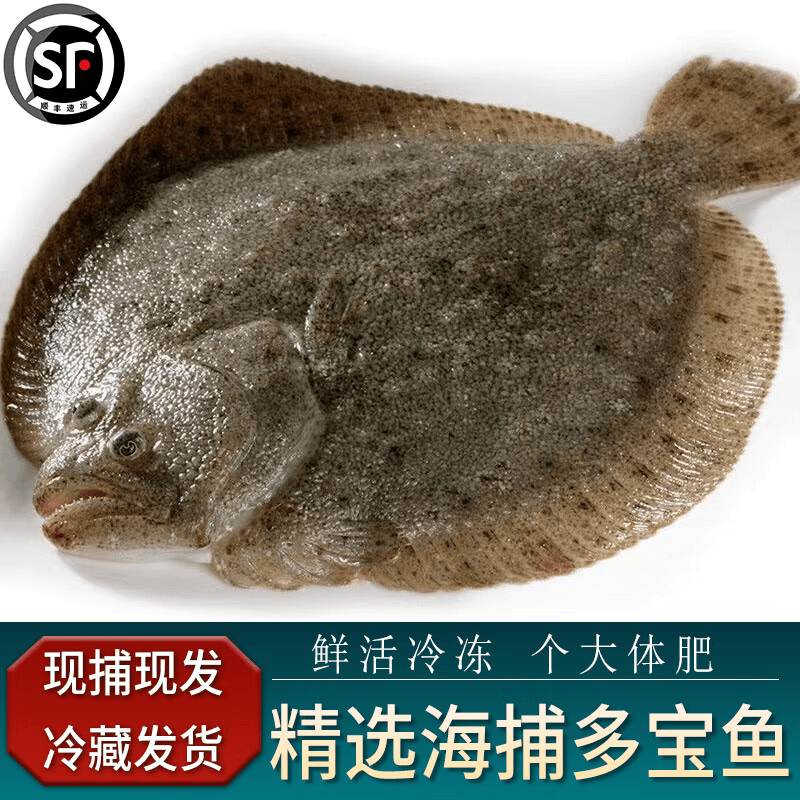 （美）10条多宝鱼（200-300g/条）鲜活冷冻比目鱼偏口鱼多宝鱼/10条