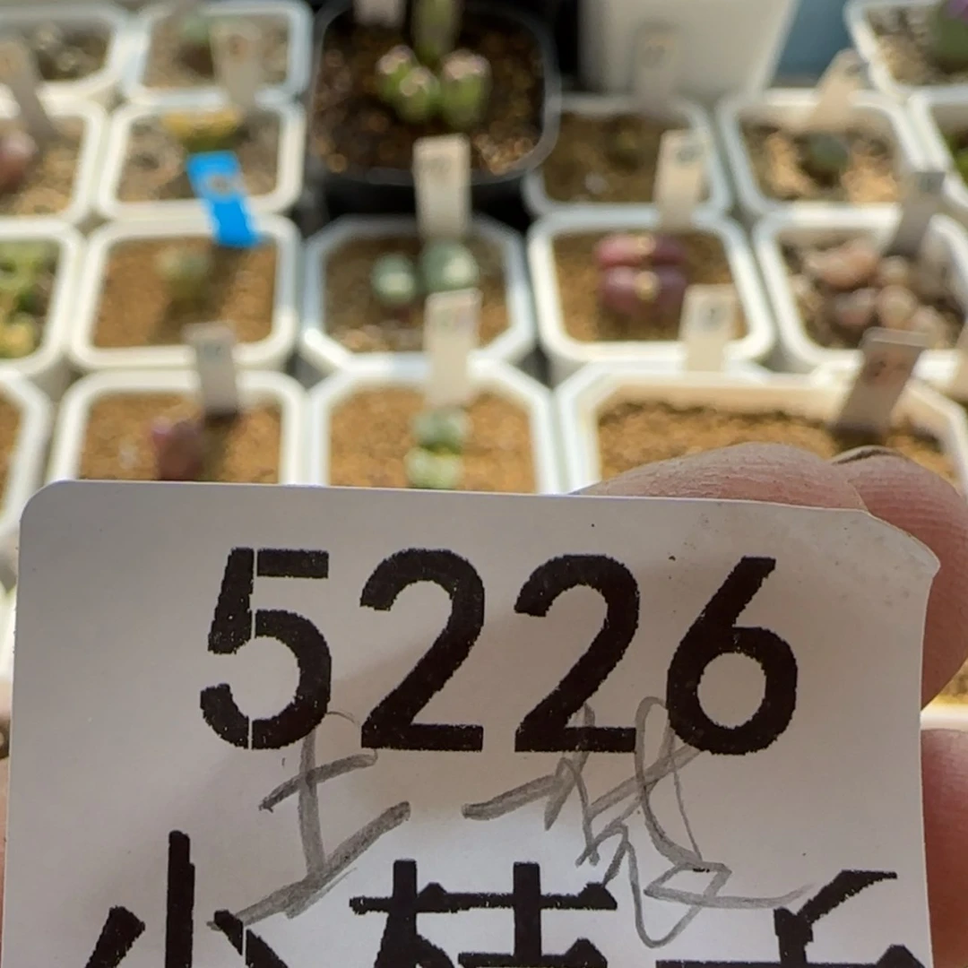 【闪购商品】5226土一袋。