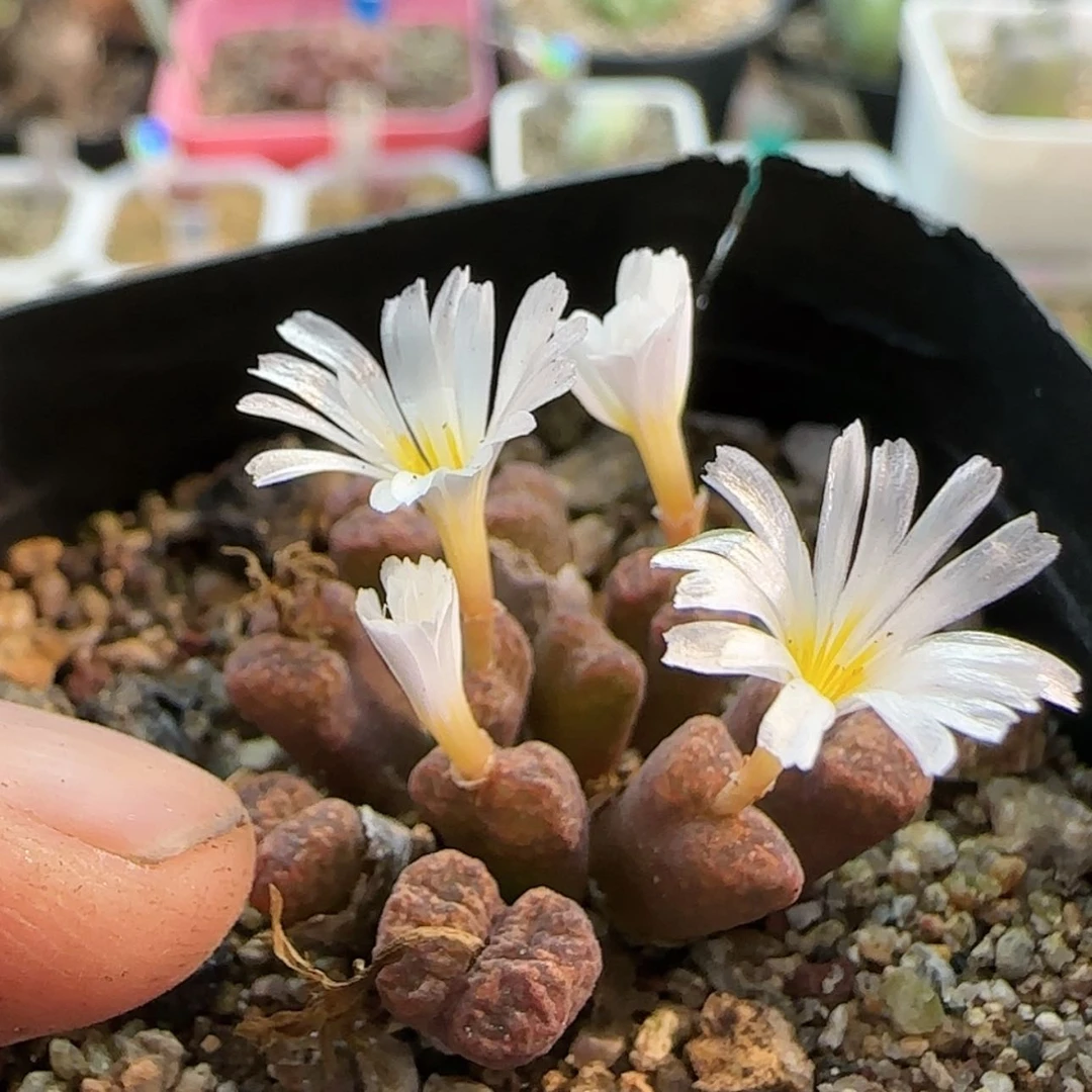 【闪购商品】0921