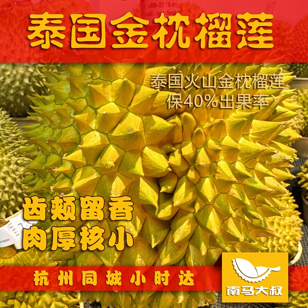 【南马大叔】泰国空运火山金枕榴莲 整果1.5-4.5斤(默认开果保40%出肉率)