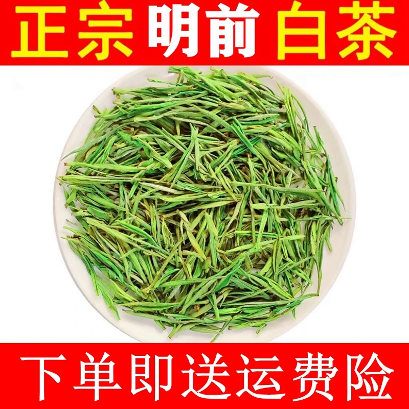明前白茶2025年新茶袋装高山绿茶嫩芽茶浙江浓香型白茶正宗好茶