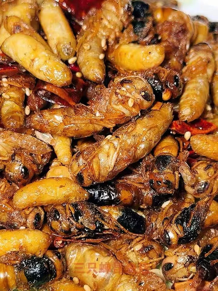 1234级油炸蜂蛹8-9成干度蜂蛹美食年货介意三级勿拍