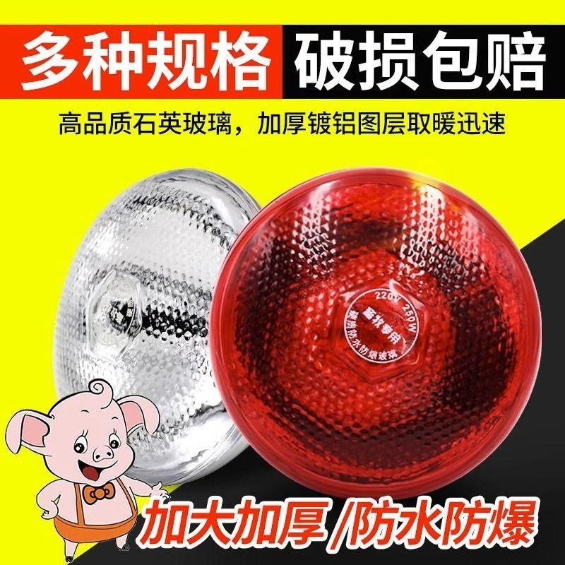 加厚保温灯防水防爆加热取暖箱灯泡小鸡仔猪育雏用养殖专用