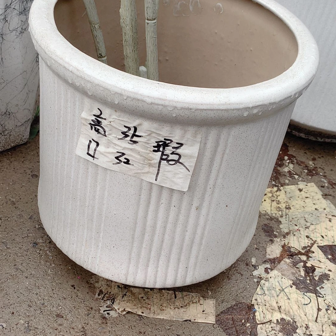 【闪购商品】红陶20CM（含）-50CM（不含）