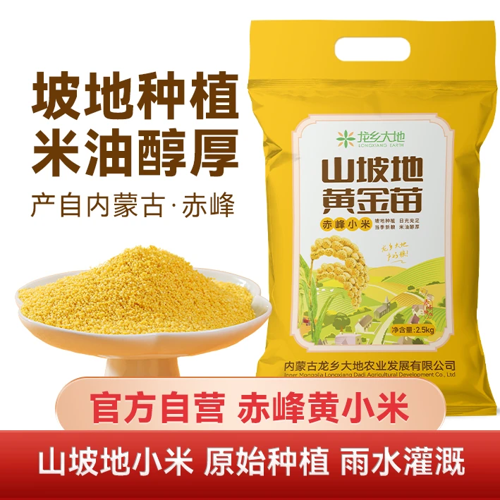 龙乡大地赤峰小米敖汉小米山坡地黄小米2.5kg袋装包邮家庭新米