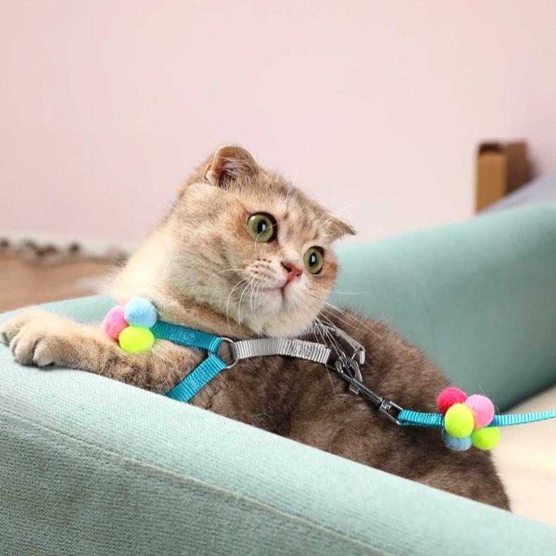 新款工字型炫彩绒毛球猫咪牵引绳中小型犬胸背带遛狗绳猫绳可调节