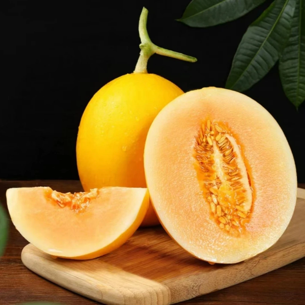 甘肃民勤蜜瓜金红宝黄河蜜瓜新鲜香瓜甜瓜水果沙漠黄金蜜4.5-5斤