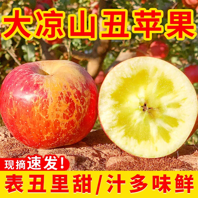 四川大凉山盐源冰糖心丑苹果红富士苹果高山高海拔新鲜苹果10斤装
