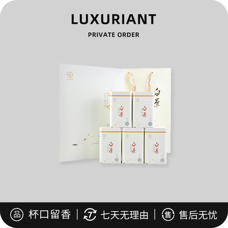 杯口留香白茶春茶 5罐礼盒茶口粮茶 新茶白茶 送长辈 茶叶 2024dy