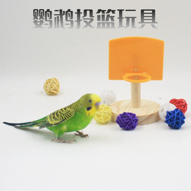 鹦鹉宠物鸟益智训练篮球玩具迷你篮球筐投篮站架智力开发鸟用品