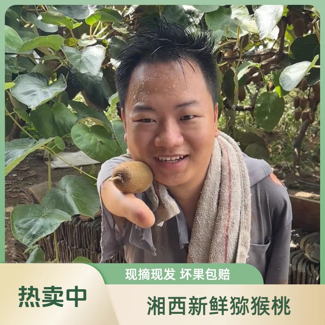 【1小哥家猕猴桃】湘西高山高海拔猕猴桃现摘现发当季正宗热卖中