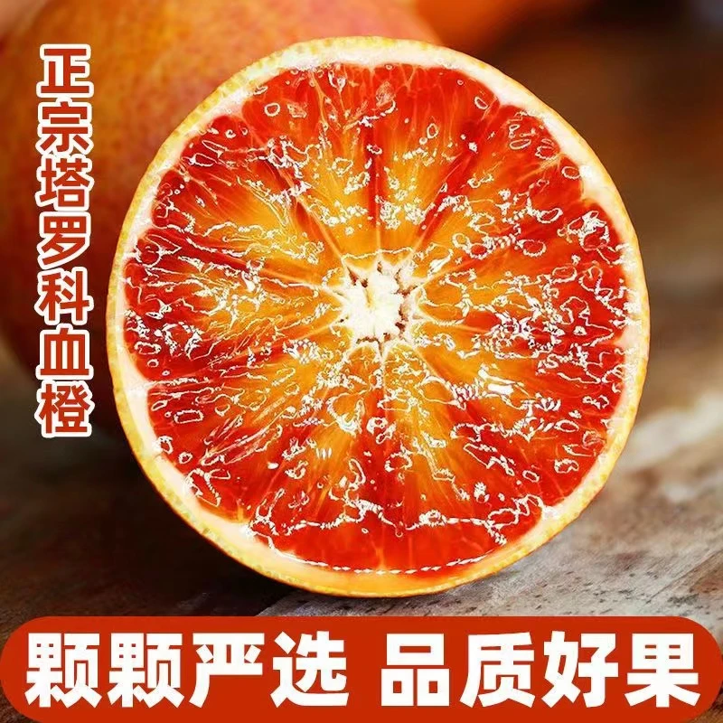 四川血橙塔罗科果冻橙直播带货玫瑰血橙头茬果原产地采摘包邮发货