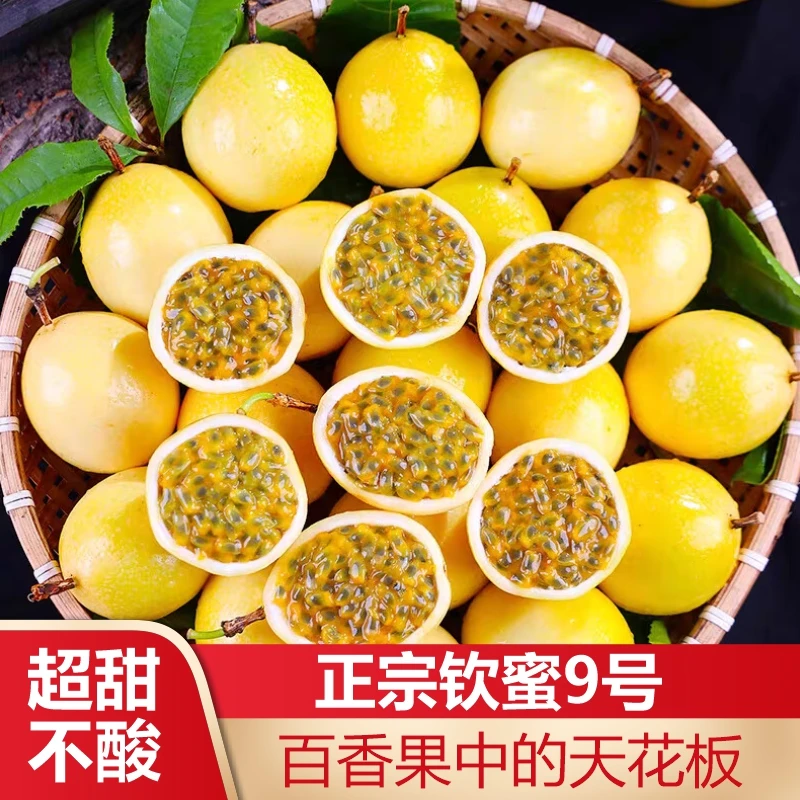 【广西钦蜜9号百香果C】黄金百香果新鲜水果当季普邮香甜多汁