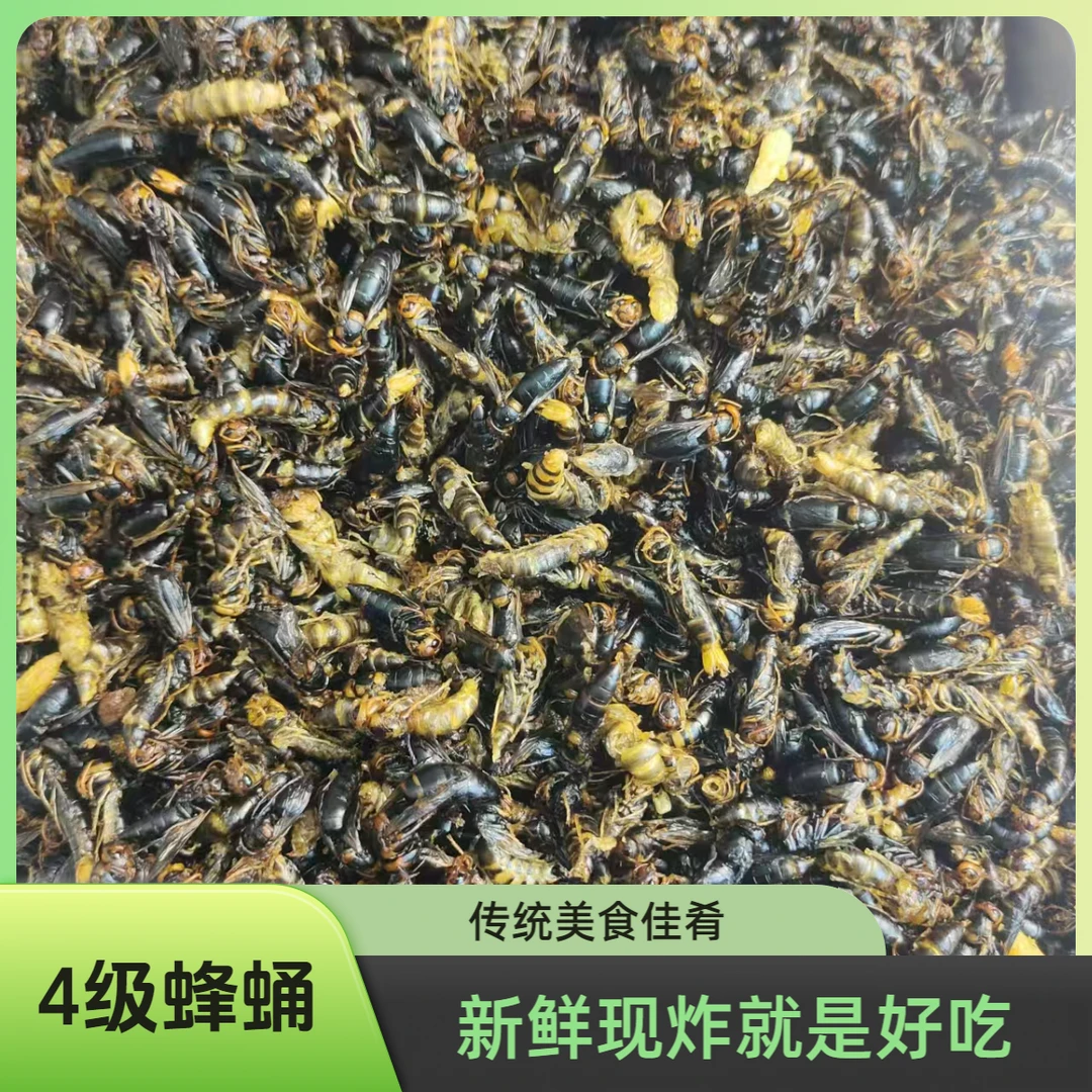 4级 小黑蜂蛹下酒菜蜂儿子