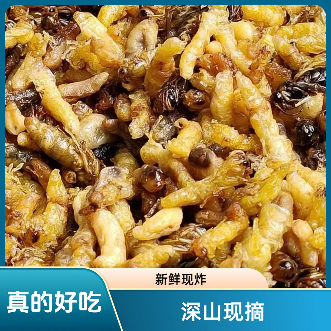 【树蜂半斤装】1234黄蜂树蜂3级蛹带内脏介意勿拍