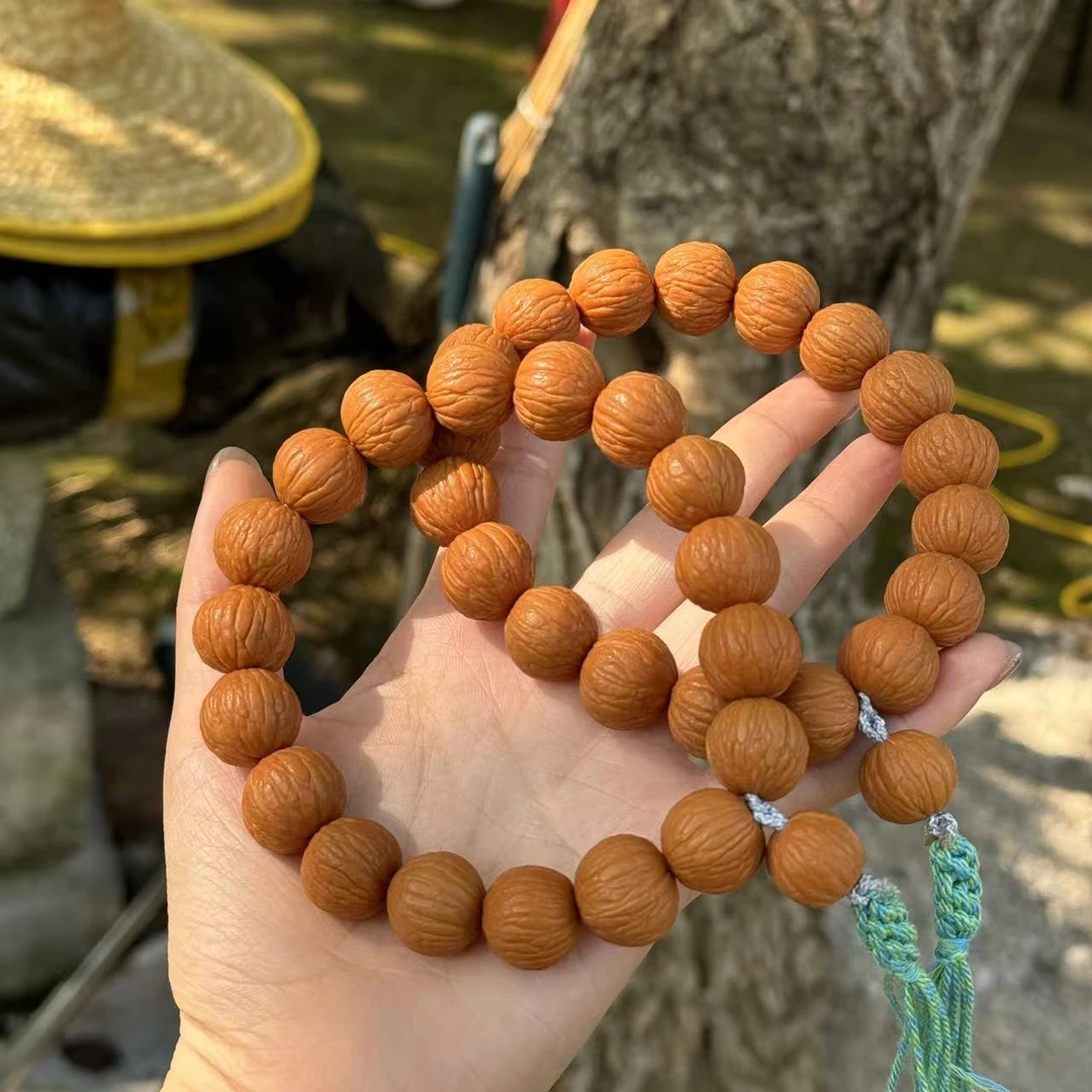 【曹掌柜精选】8   P1067-猴头凤羽手持-14mm左右-多样性发其一