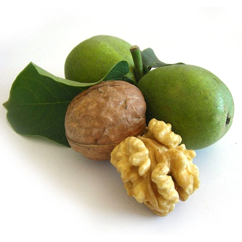 【凯涛甄选】新鲜现摘鲜核桃5斤京东或顺丰包邮