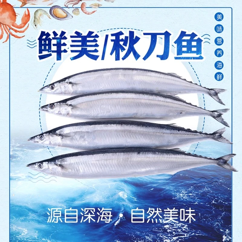 秋刀鱼新鲜鲜活冷冻大号海捕深海鱼日式秋刀鱼烧烤食材香煎秋刀鱼