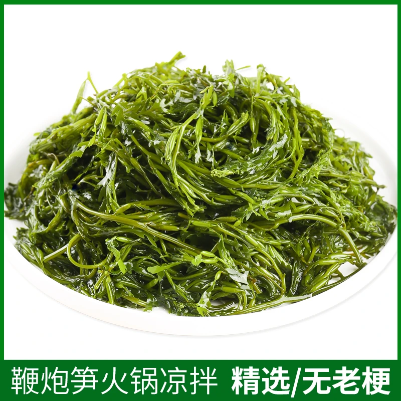 鞭炮笋新鲜海藻盐渍马尾藻海草长寿菜羊栖菜海带海菜火锅1250g