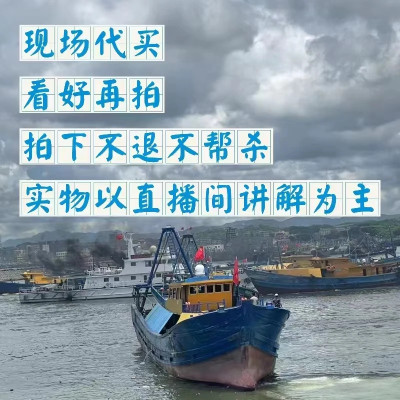 2码头现场代买 杂鱼5-10斤，看好再拍，实物以直播间讲解为准