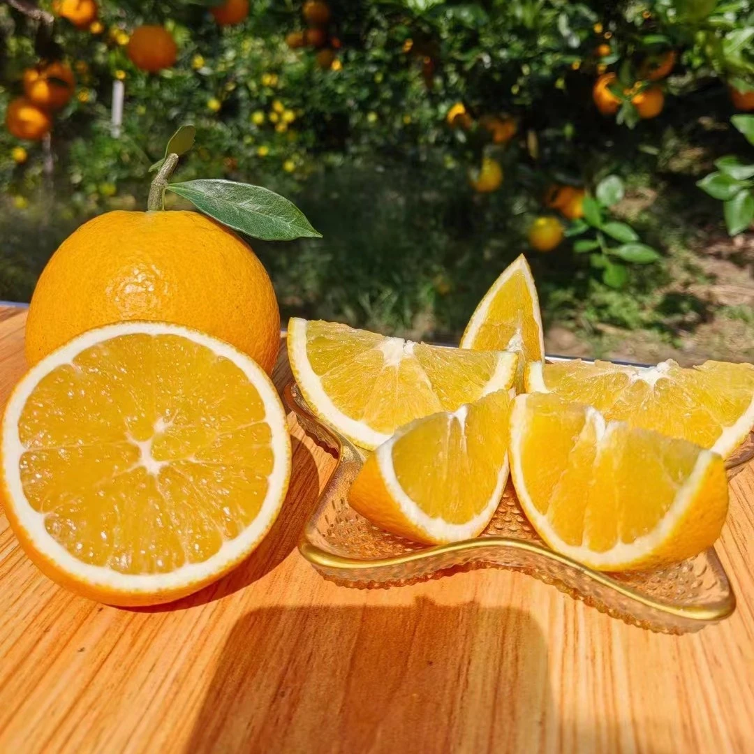 【果园现采】江西正宗赣南脐橙 新鲜橙子10斤当季水果 天然香甜种植