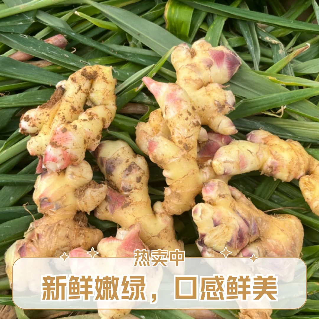云南小黄姜 小块姜 碎姜 5斤 (介意勿拍)