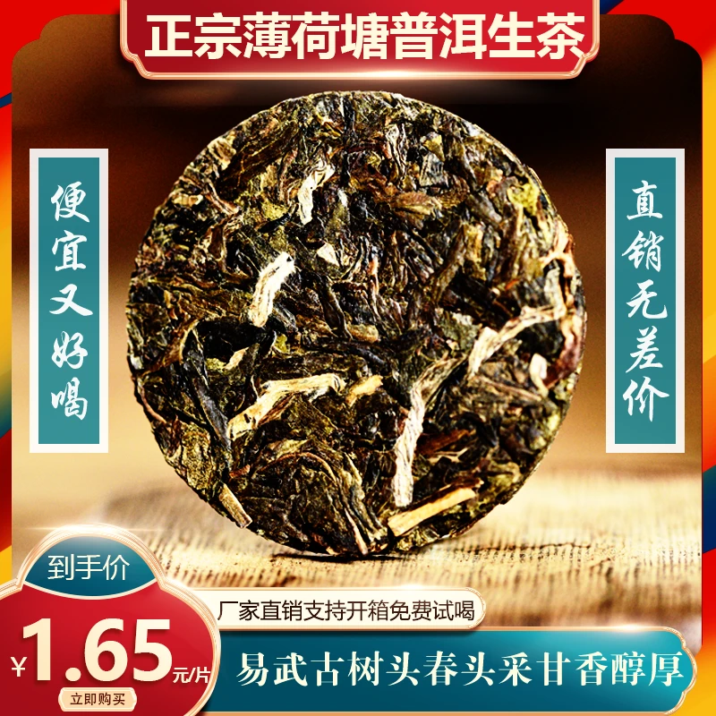 [买1筒送1筒]易武薄荷塘古树纯料头春头采生茶醇厚香甜源头直销